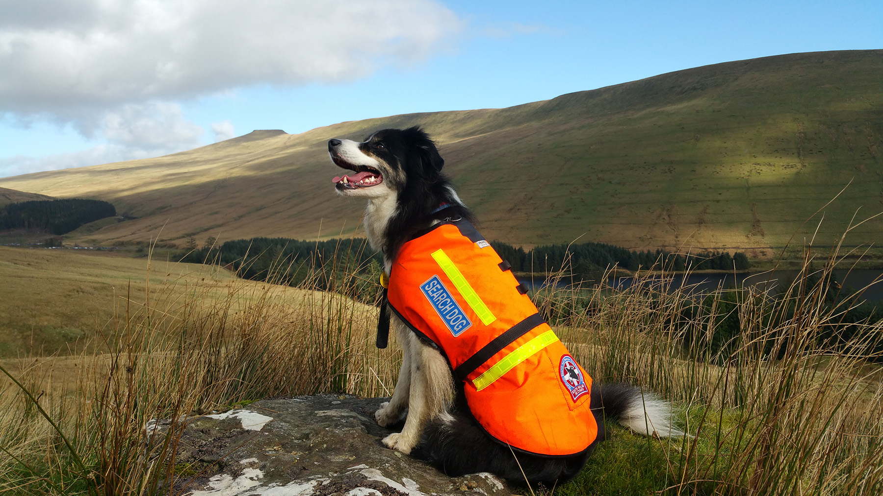 Sarda South Wales - Mountain Rescue England And Wales